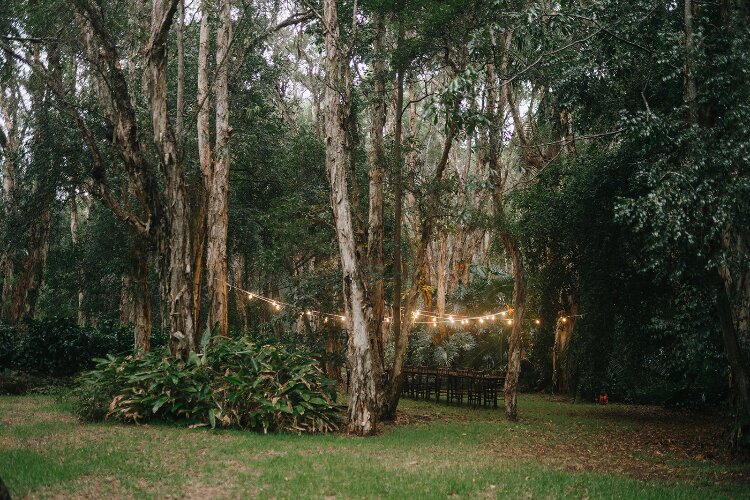 Rainforest wedding reception under festoon lights in Port Stephens NSW