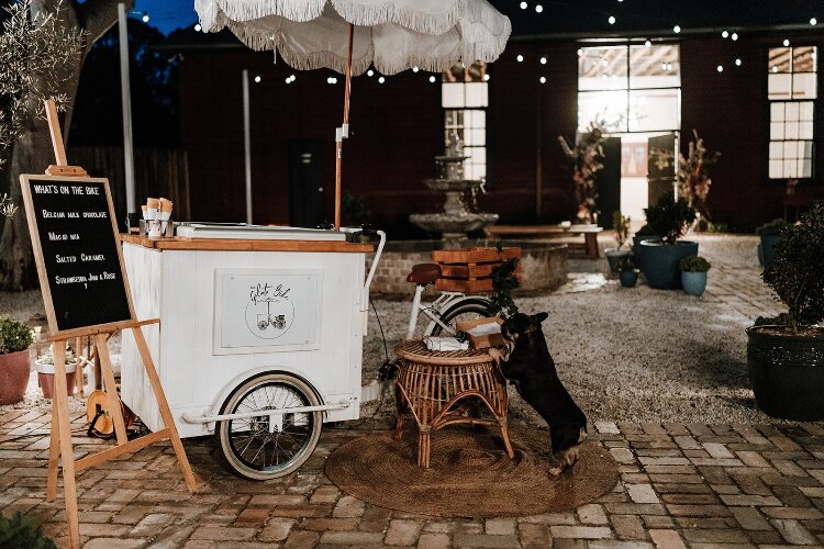 Backyard Gelato Bike