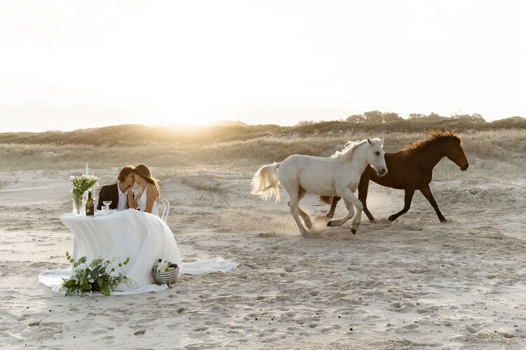 Sugar Beach Ranch wedding venue with two horses near Byron Bay