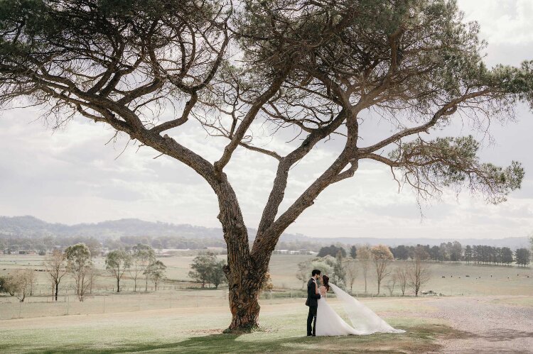 Lightheart's cinematic wedding videos in the Blue Mountains