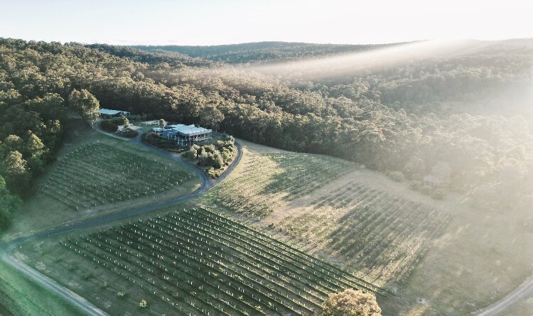 Mimosa Wines Country Venue