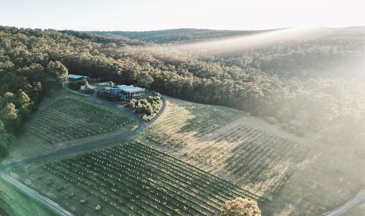 Exclusive wedding venue at a chefs hatted restaurant with incredible bush views