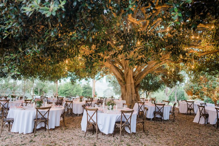 Outdoor reception space Fig Tree Park