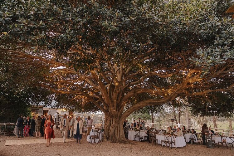 Small horse farm wedding venue on the Sapphire Coast NSW