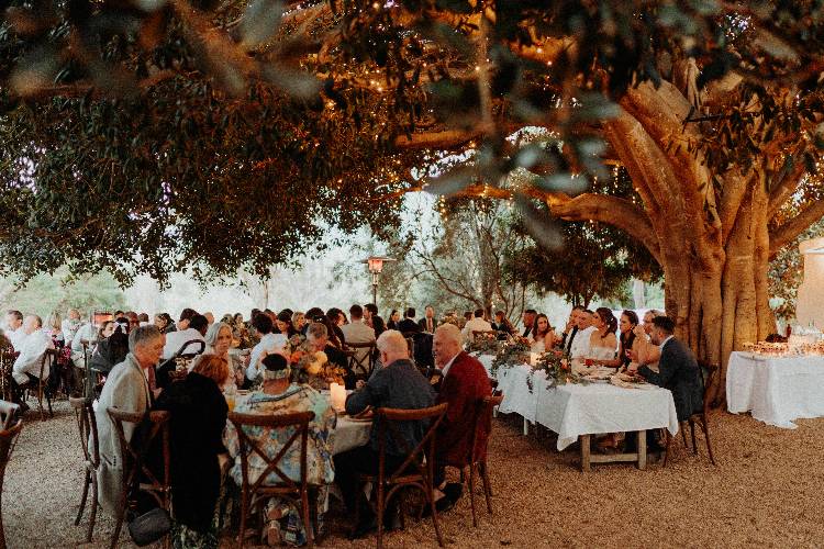 Outdoor reception area at Fig Tree Park near Tilba Tilba