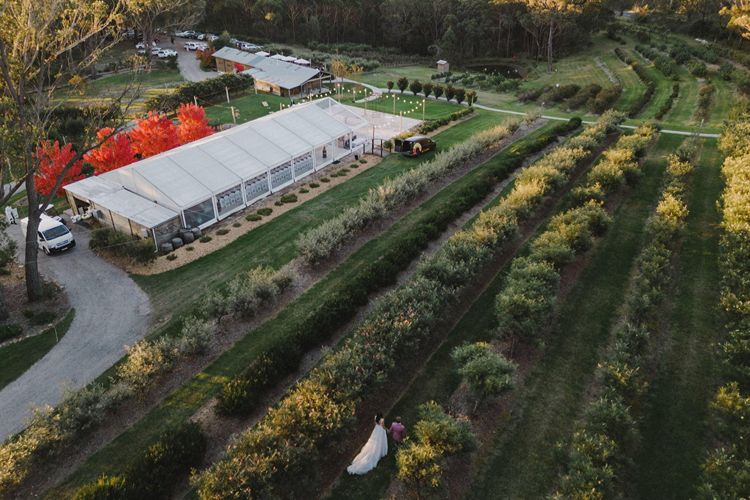 Growwild Wildflower Farm wedding venue with couple in flower fields near Sydney