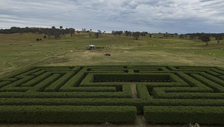 Cadogan Country House Maze Venue