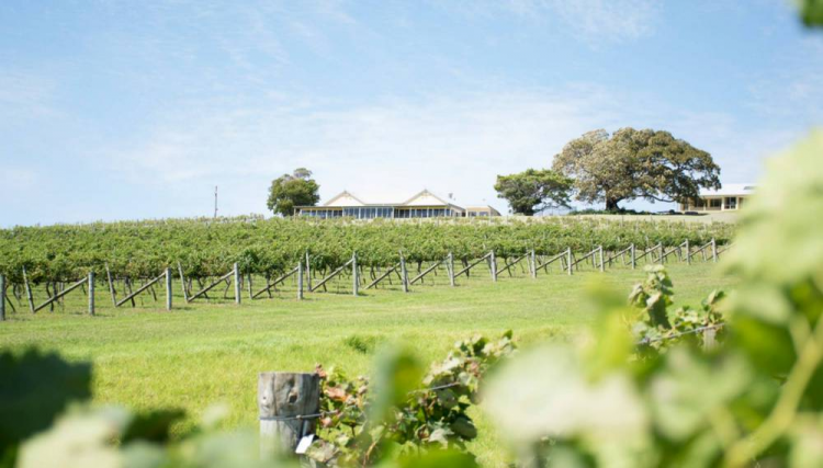 South Coast Wedding Venue Crooked River Wines