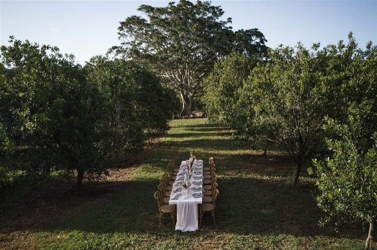 Outdoor wedding space Tides