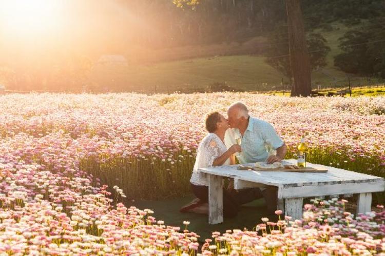 Mountain View Farm Pop up Elopements