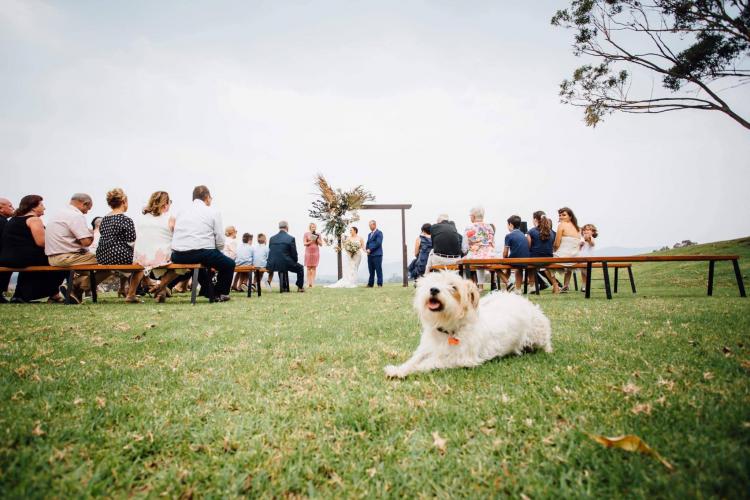 Pet friendly wedding venues adams