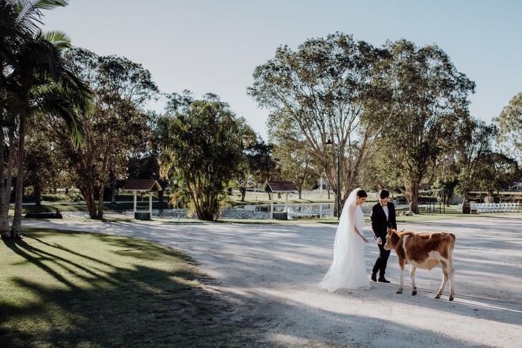 Pioneer Country Weddings Gold Coast