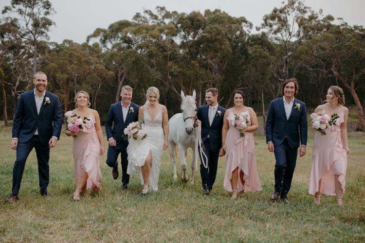 pet friendly wedding venue somersby